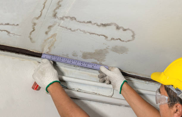 Affordable Water Damage Repair solutions in Brevard, NC